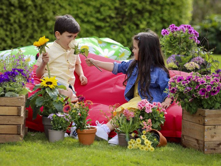 Bord Bia Bloom announces full festival line-up for much loved summer event