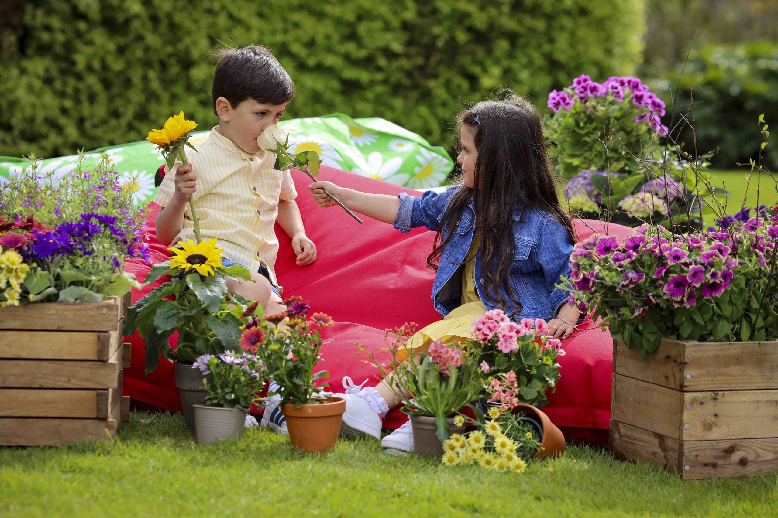 Bord Bia Bloom announces full festival line-up for much loved summer event