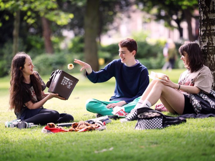 Businesses Urged to Use a Brown Bins for Waste