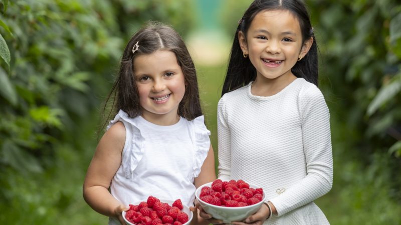 Berry Good – 1 million punnets of SuperValu’s Signature Tastes Raspberries sold for summer