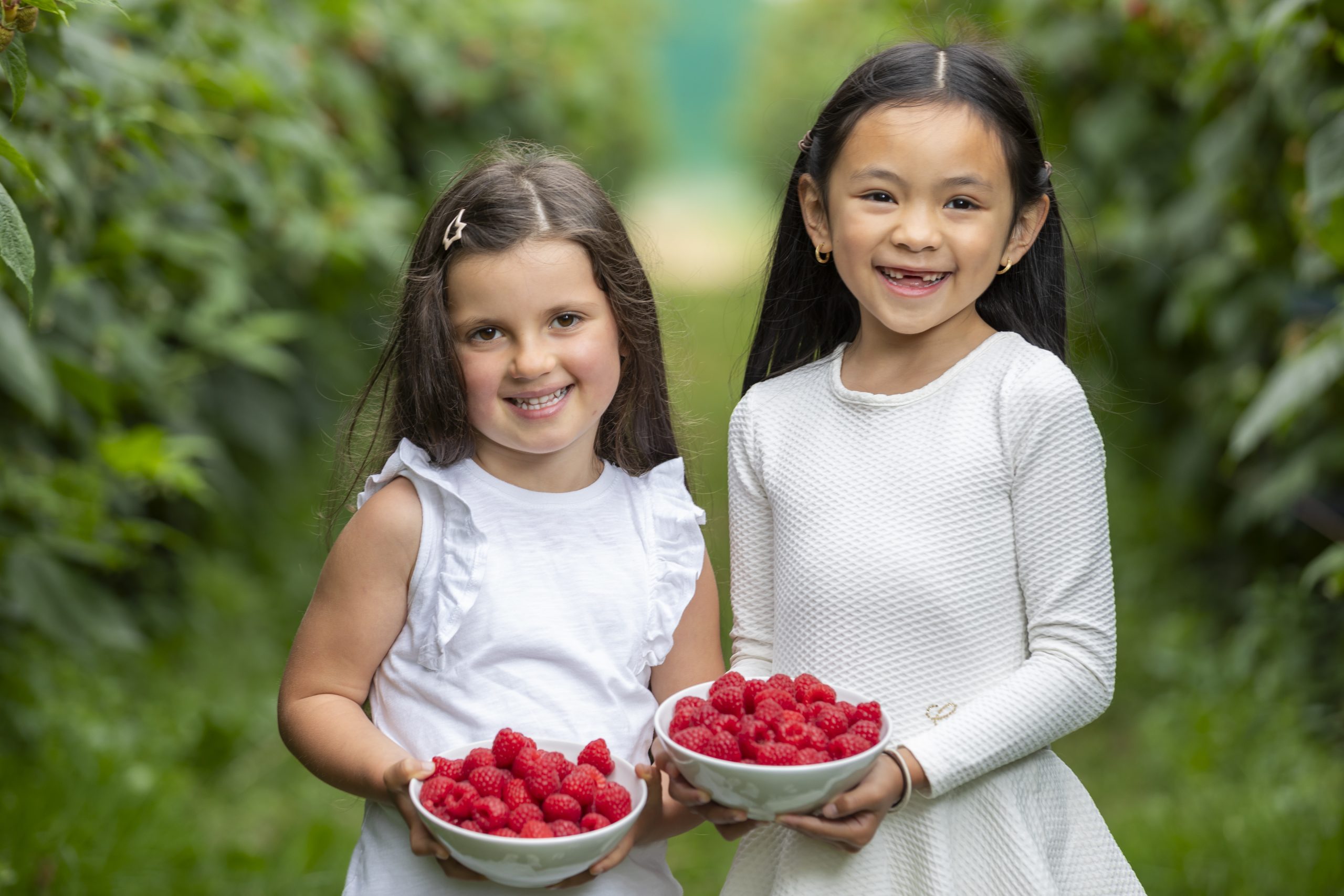 Berry Good – 1 million punnets of SuperValu’s Signature Tastes Raspberries sold for summer
