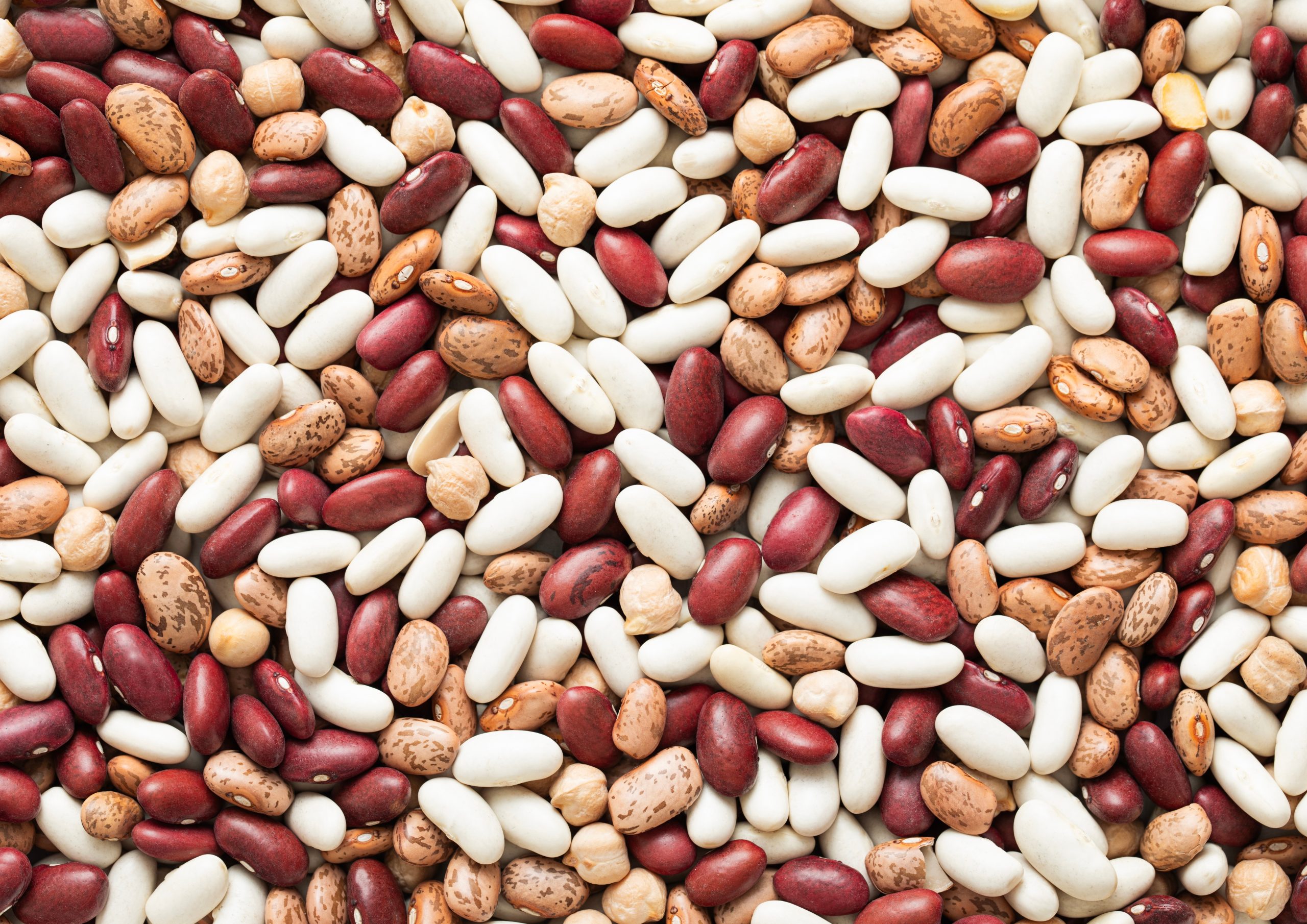 FSAI Provides Advice on Uncooked or Raw Bean Consumption