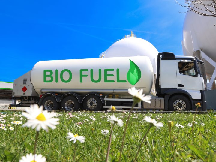 Economy Minister in the North seeks views on role of biofuels