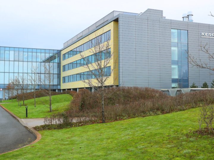 Kerry Group reports revenue of €8 billion for 2024