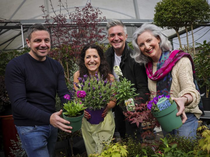 Summer is in full Bloom as final line-up announced for popular festival