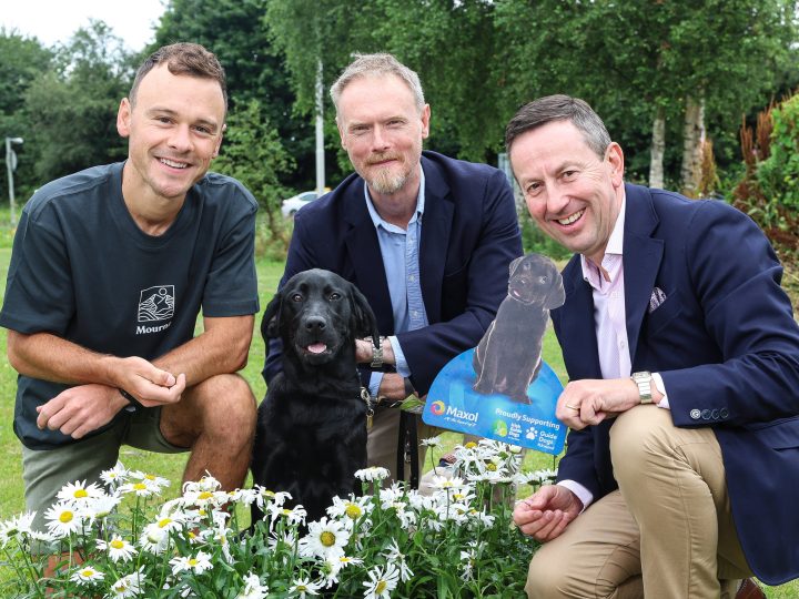 Daisy leads the way to launch Maxol’s latest charity initiative for Guide Dogs NI